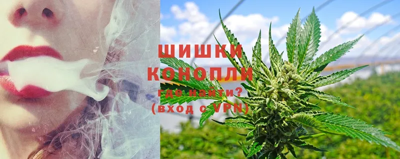 Бошки Шишки THC 21%  как найти закладки  Копейск 